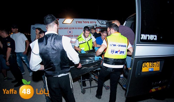 3aregmontreeh520 (31).jpg